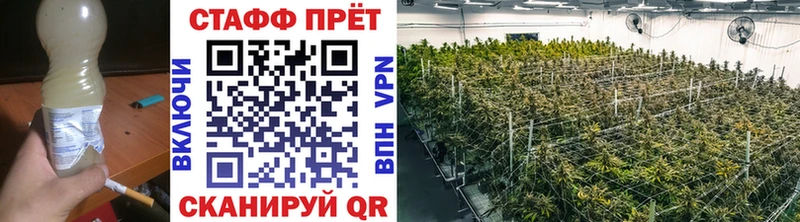 Купить наркотик аптеки Нововоронеж Кокаин  Меф  Гашиш  мега tor  Каннабис  СК 