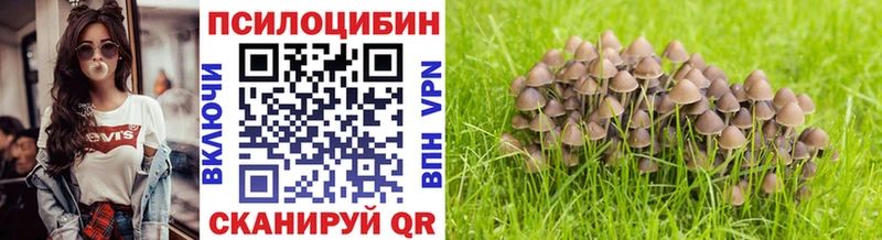Галлюциногенные грибы Psilocybine cubensis  даркнет сайт  Нововоронеж 